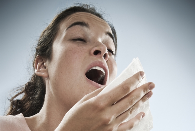 Seasonal Allergies and Our Holistic Options