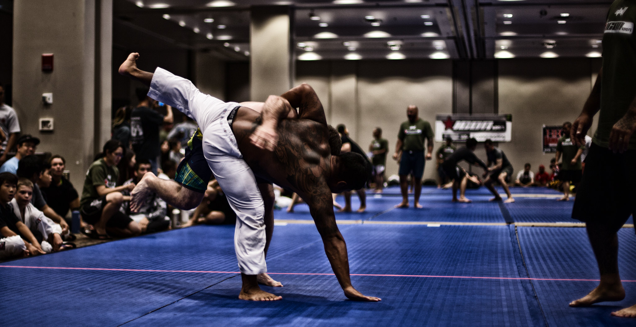 Training & Recovery for High-Intensity Mixed Martial Arts